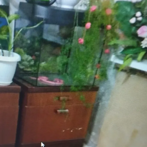 Продам тумбы от спального набора Донецк