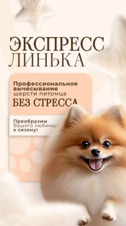 Груминг для собак и кошек Донецк