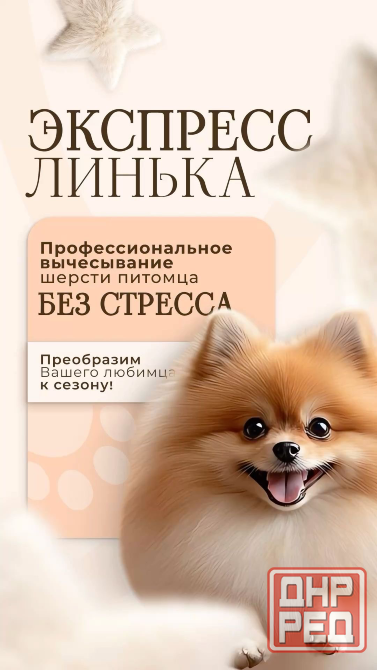 Груминг для собак и кошек Донецк - изображение 1