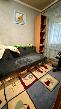 Дом,в центре Калининского района,улица Ефремого.Донецк Донецк
