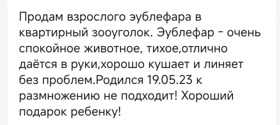 Продам эублефара взрослого Донецк