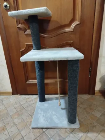 когтеточка Донецк