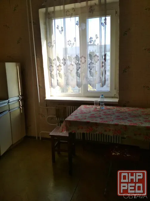 Продам 3х Донской. Донецк - изображение 11