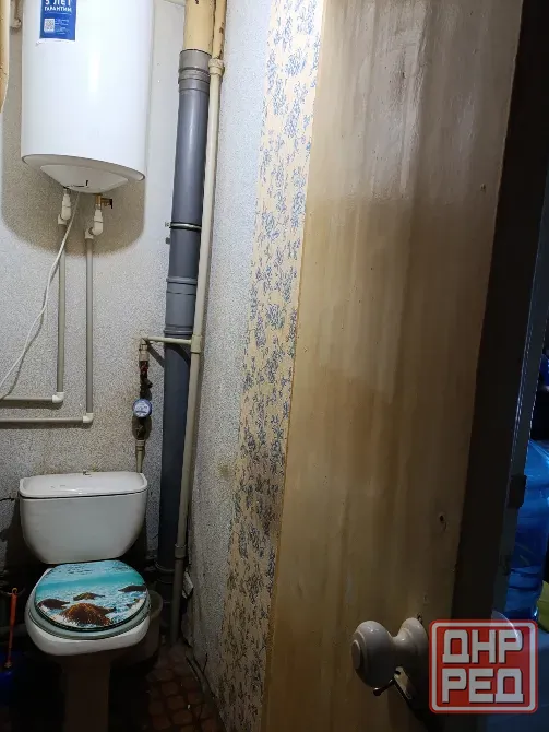 Продам 3х Донской. Донецк - изображение 9