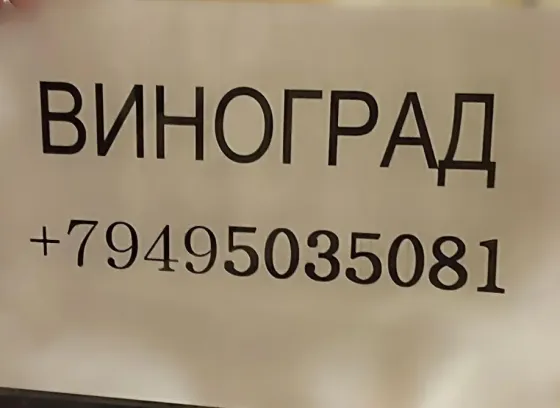 продам виноград изабелла 100 руб Донецк
