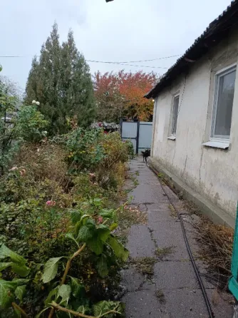 Продам дом Пролетарское ровд. Донецк