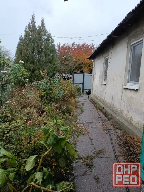 Продам дом Пролетарское ровд. Донецк - изображение 1