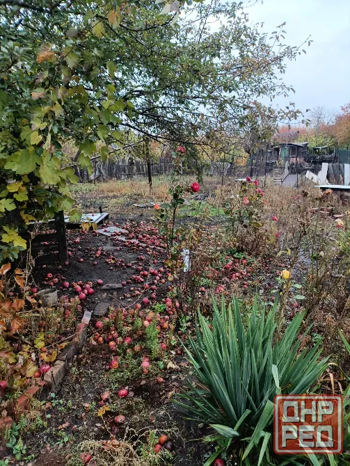 Продам дом Пролетарское ровд. Донецк - изображение 12