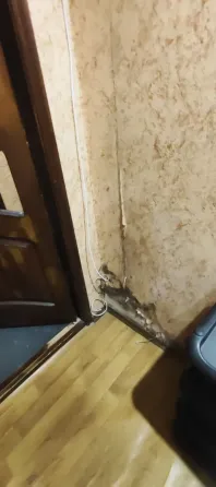 Сдам 1 ком б.Школьный Донецк