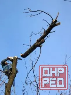 Демонтаж дач, домов, зданий, сооружений. Вывоз мусора с объектов. Калуга - изображение 7