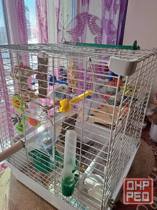 Продам клетку Донецк - изображение 2
