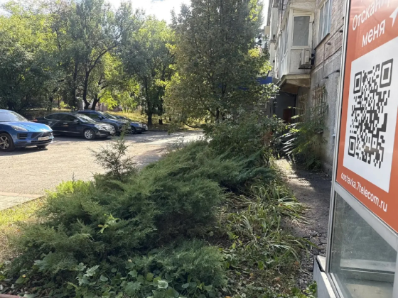 Сдам помещение 65 м2 в центре Донецка Донецк