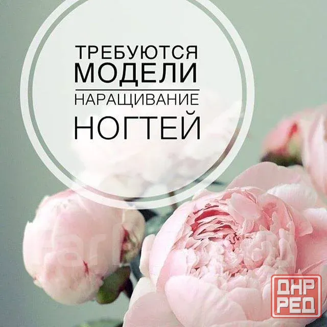 Бесплатно наращивание ногтей Донецк - изображение 1