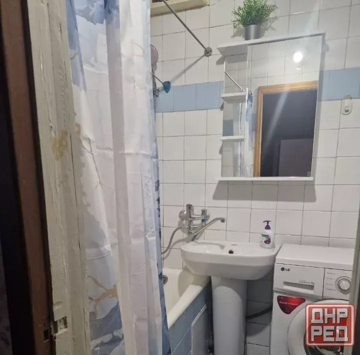 пролетарский район возьму с животными и детьми Донецк - изображение 8