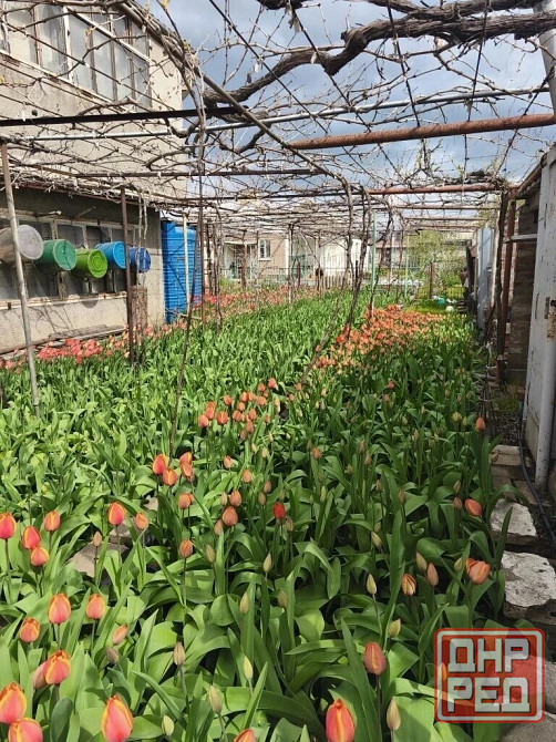 Дом, 98,2 м², Мариуполь Мариуполь - изображение 10