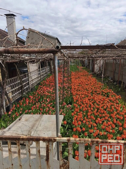 Дом, 98,2 м², Мариуполь Мариуполь - изображение 9