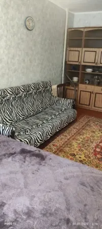 Сдачажилья Киевскийрайон 1комнатная Донецк