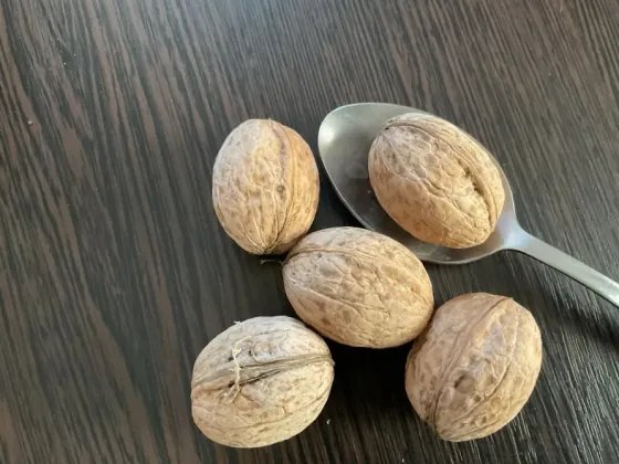 Продам грецкий орех Донецк