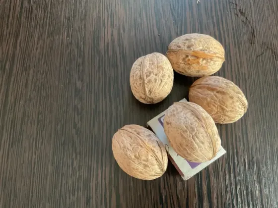 Продам грецкий орех Донецк