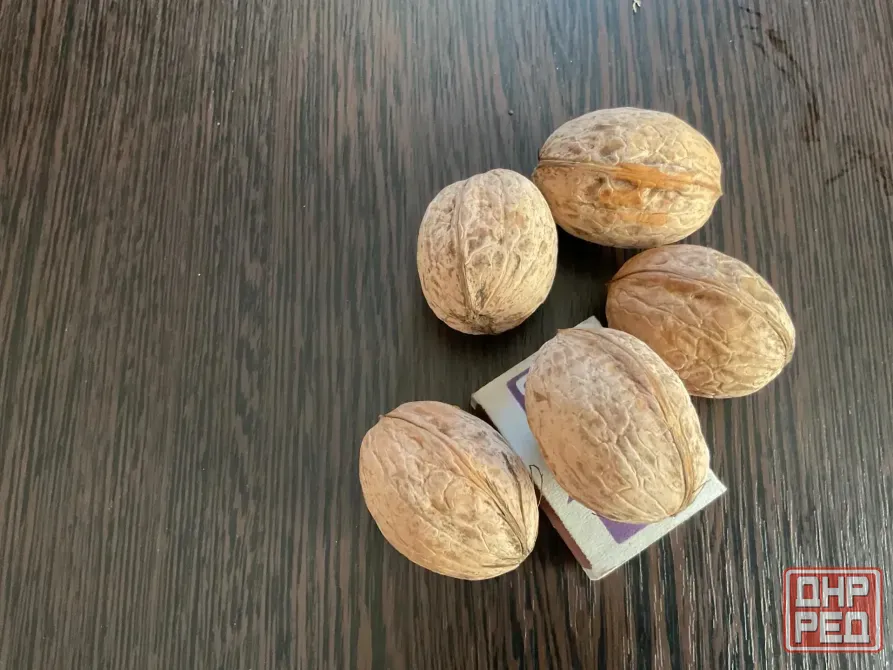 Продам грецкий орех Донецк - изображение 1