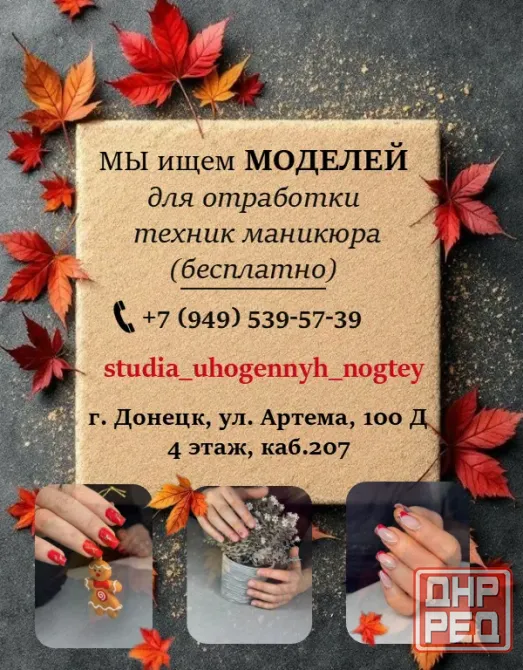 Ищем модель Донецк - изображение 1