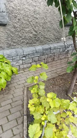 Отмостки, Бетонные ,Фундаментные работы Донецк