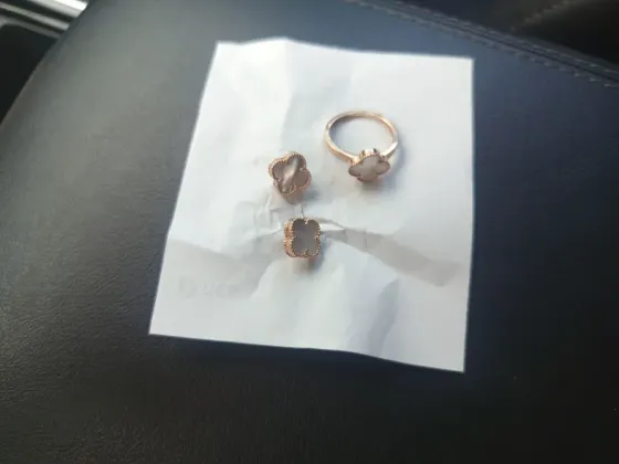 Золотые серёжки. Донецк
