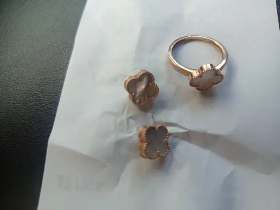 Золотые серёжки. Донецк
