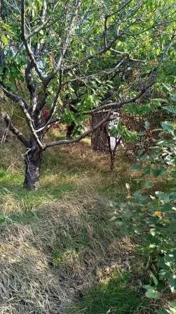 Продажа земельного участка в городе Мариуполе вблизи моря Мариуполь
