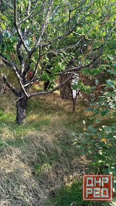 Продажа земельного участка в городе Мариуполе вблизи моря Мариуполь - изображение 4