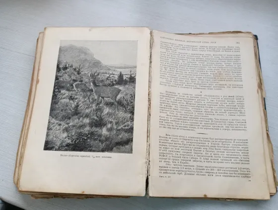 Антикварная книга Донецк