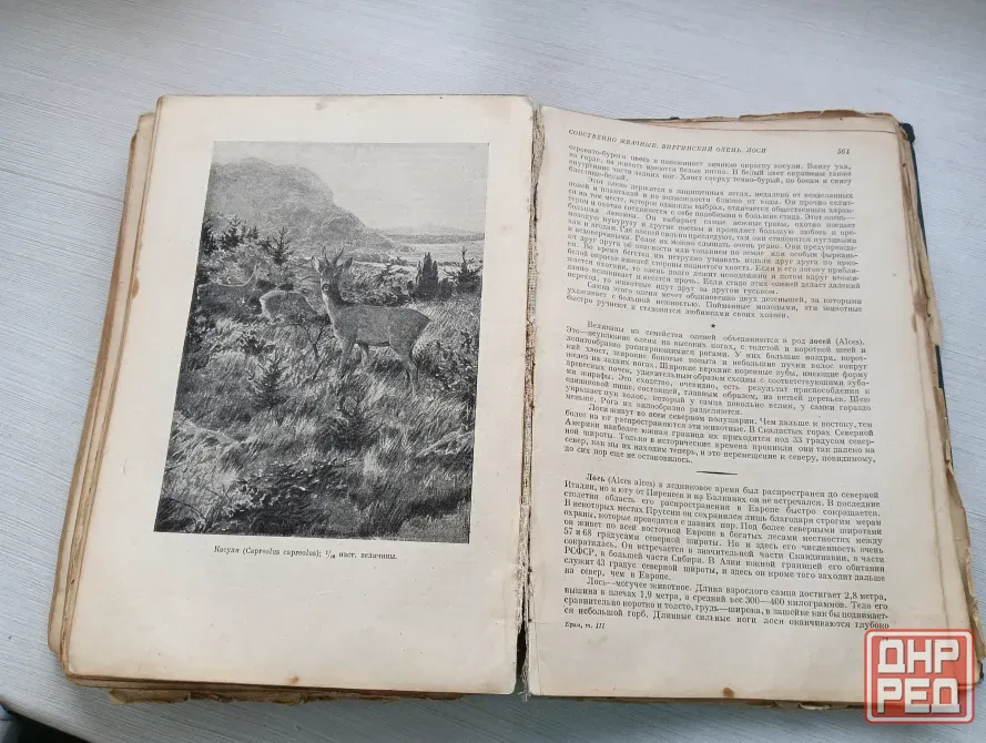 Антикварная книга Донецк - изображение 1