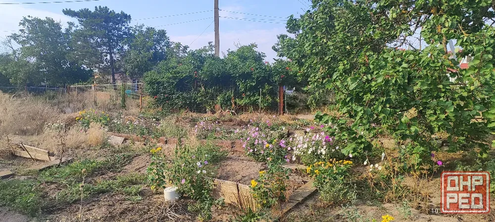 Продам дом на берегу моря Бердянск - изображение 8