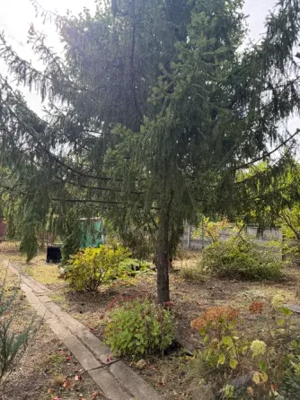 продажа дачного участка Донецк