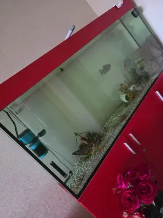 Продам аквариум Мариуполь