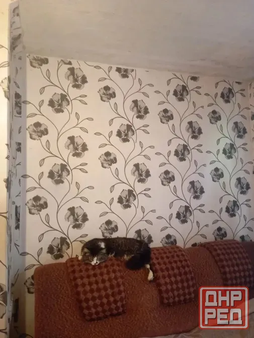 Продаётся 1-но комнатная квартира в Пролетарском р-не, ул. Раздольная Донецк - изображение 1