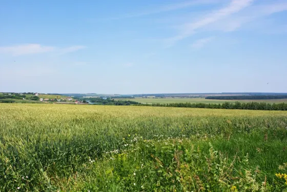 Земля ижс у реки Дон Луганск
