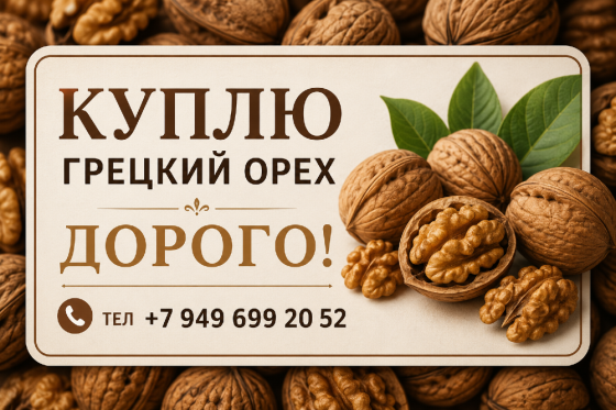Куплю грецкий, орех! Горловка