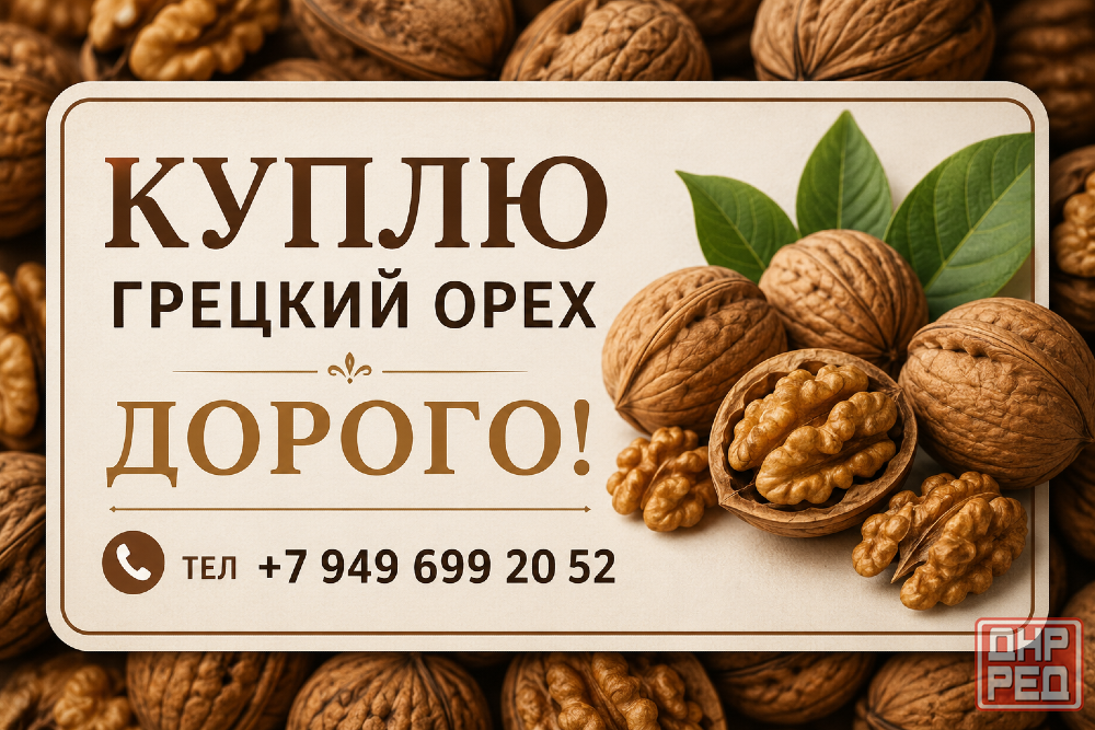 Куплю грецкий, орех! Горловка - изображение 1