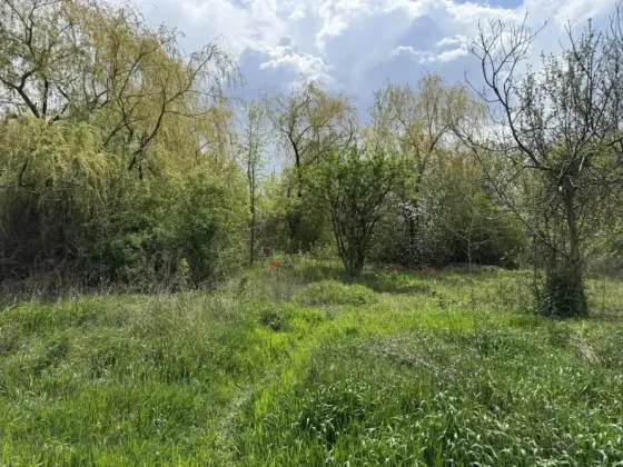 продам приватизированный участок земли 10 соток с межеванием Донецк
