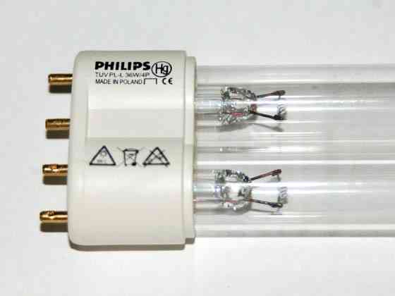 Лампа бактерицидная Philips TUV PL-L 36W 4P 2G11 специальная безозоновая Донецк