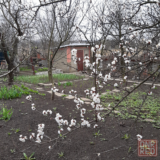 Загородный дом у озера, получил повреждения, земли 12 соток Донецк - изображение 9