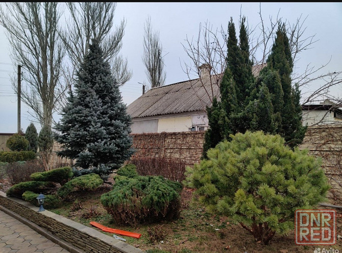 Топиарная стрижка растений,обрезка деревьев Донецк - изображение 2