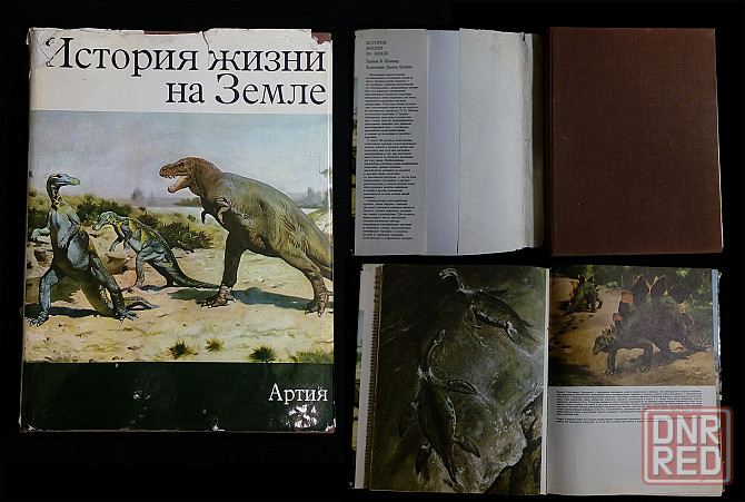 Учебники IT, программирование, живопись. Художественная лит-ра. Донецк - изображение 5