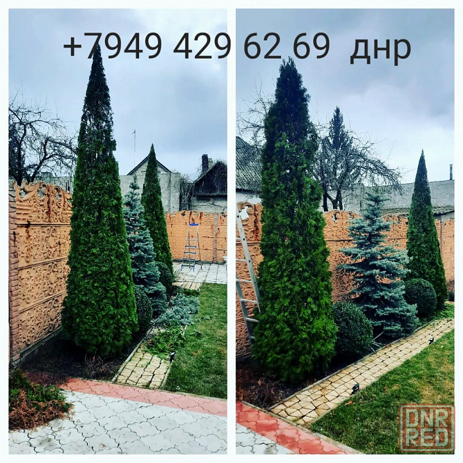 Газон. Уход. Вертикуляция. Скарификация. Донецк - изображение 5