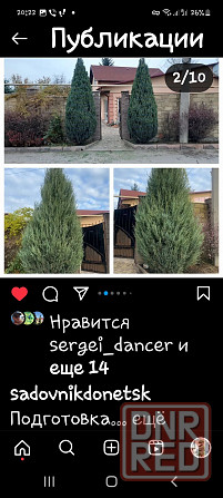 Газон. Уход. Вертикуляция. Скарификация. Донецк - изображение 7