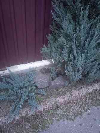 Гранит для ландшафтного дизайна.Обмен Донецк