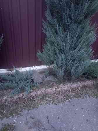 Гранит для ландшафтного дизайна.Обмен Донецк