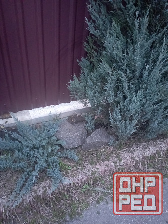 Гранит для ландшафтного дизайна.Обмен Донецк - изображение 4