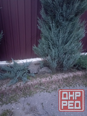 Гранит для ландшафтного дизайна.Обмен Донецк - изображение 3